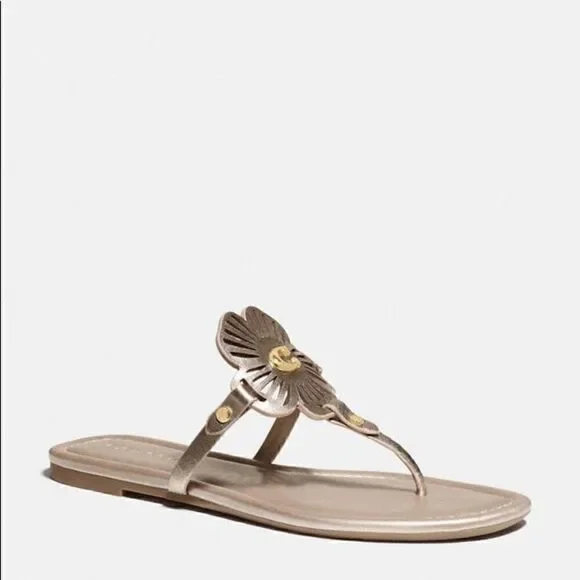 7.5 COACH JULIA SANDALS in champagne (nib) - Picture 4 of 9
